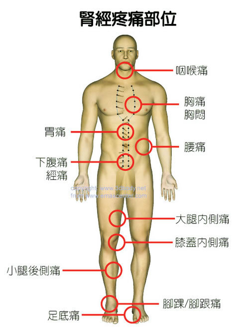 身体各个器官疼痛位置图片