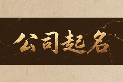 法务公司取名字大全(340个)